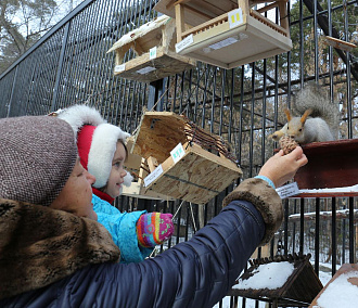 Детская зона с курами и кроликами появится в Новосибирском зоопарке
