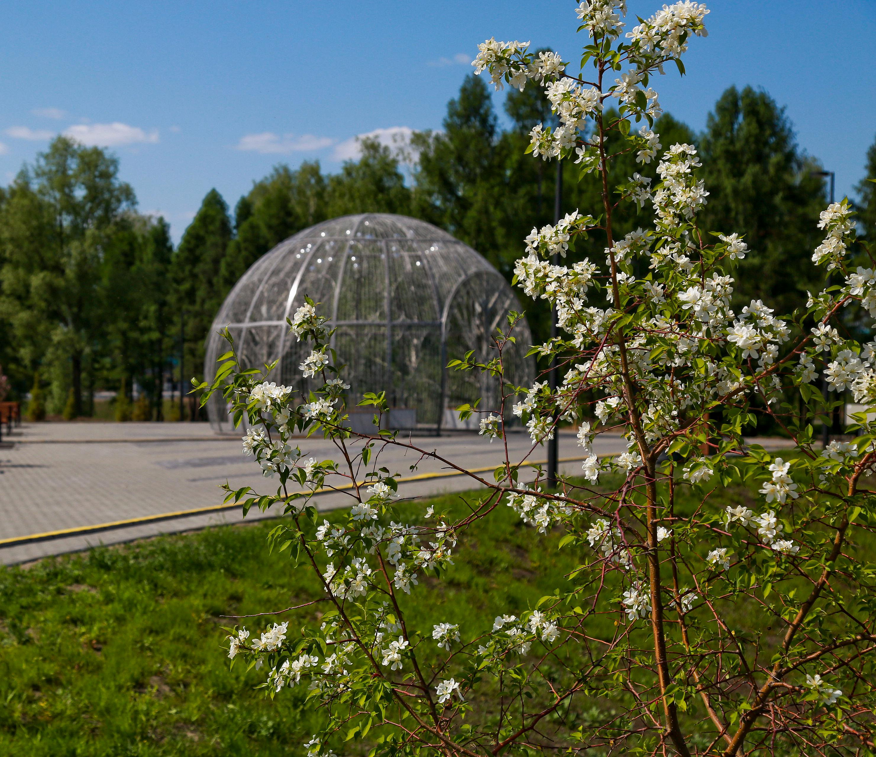 Новосибирский парк «Арена» претендует на звание «Парк года»