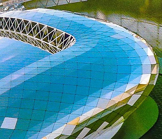 Росгвардия готова перенести аэродром ради ледовой арены в Новосибирске
