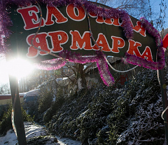 Где купить новогоднюю ёлку в Новосибирске — карта базаров