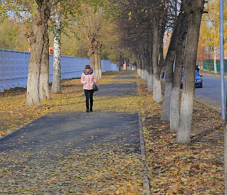 Новосибирская неделя: детские сады, парковки и ремонт дорог