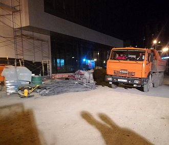 Очевидцы вырубки елей на Кирова прислали мэру подтверждающие фотографии