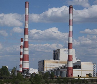 Забурели: не закоптит ли новосибирское небо новое топливо